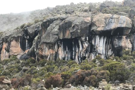 Local Tanzania Travel Experts