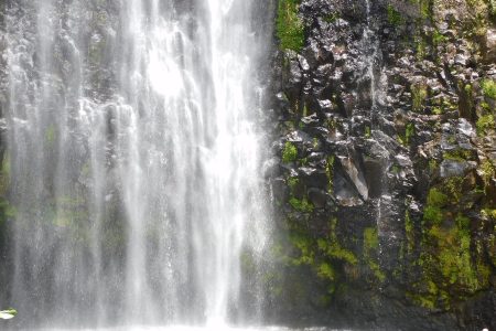 Materuni Waterfall & Coffee Tour Day Trip