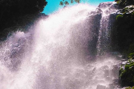 Local Tanzania Travel Experts