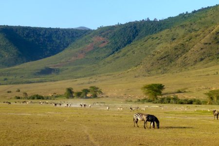 Ngorongoro Crater Day Trip
